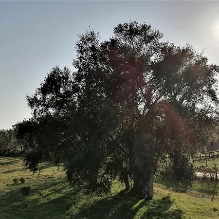 Nel A Holiday home